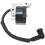 Ignition Coil Replacement For BV2000 BV2000LE V2000LE PPBVM200LE WT200LE BV2125 B1750 3