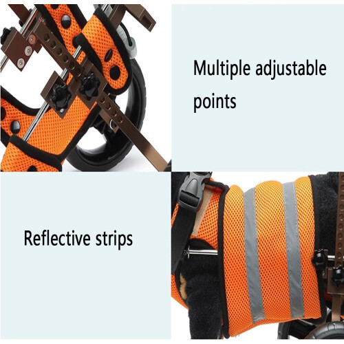 pet wheelchairs for small pets with paralyzed hind limbs 1