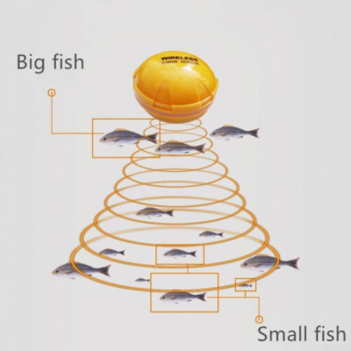 Smart Wireless Fish Finder With Sonar Technology, Instant Depth And Temperature Readings, 36 M / 120 Ft Range 1
