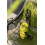 Kärcher Karcher K4 WCM Pressure Washer, New Model 2026 5