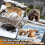 Deer Sled Drag Sled Set, TearResistant Sliding Tool, Easy Loading And Unloading 5