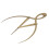 Χάρακας φρυδιών ακριβείας, δαγκάνα χρυσής αναλογίας για συμμετρικά φρύδια, 6