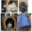 Warm Cat Cave Bed for Indoor Cat Cartoon Pattern Hideaway-S 3 4
