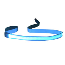 Night Activity LED Pet Leash Outdoor Dogs Training Leashes-Blue