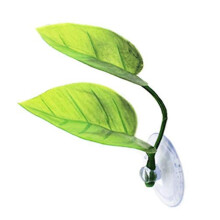 Betta Fish Leaf Pad Clear Suction Cup Betta Leaf Bed Hammock Aquarium Plant For Tank Betta Accessories