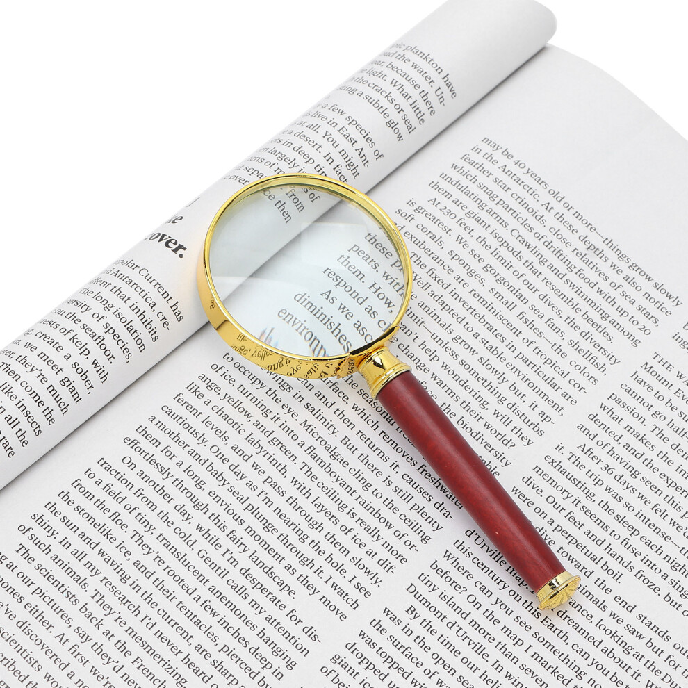 10X Handheld Magnifier with Wooden Handle for Reading and Inspection