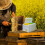 BeesHive Foam Beehive Box For Backyard Beekeeping Kit  Durable Live Bees Starter Equipment, Pollination Breeding Tools 3