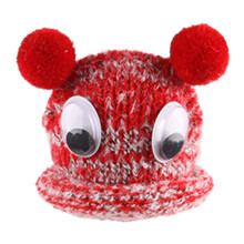 Chapeau de Hamster en tricot, chapeau de cochon d'inde-rouge1