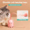 Safe Cats Übungs-Teasing-Stick, elektrischer Teaser-Stab-Grün 5
