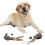 Simulation Duck Bumper Retrieving Toy Interactive Dog Training 2