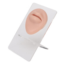 Outils pédagogiques pour la pratique du piercing, présentoir à bijoux en silicone avec modèle, silicone souple et élastique pour débutants,