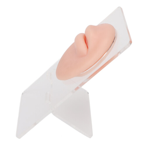 Display Model for Piercing Practice, Jewelry Display Silicone Material with Realistic Experience, Educational Tools for Professionals and Enthusiasts 2
