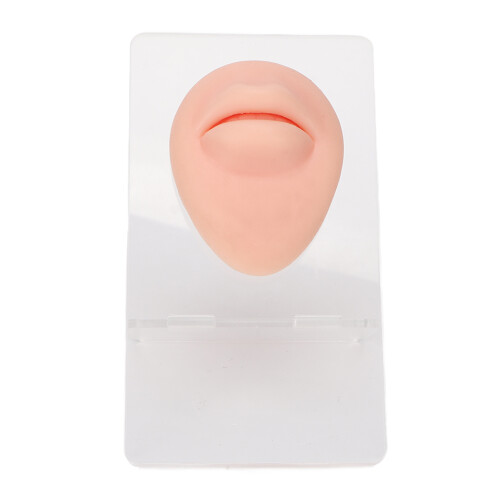 Εκπαιδευτικά Εργαλεία για Πρακτική Piercing, Υλικό Σιλικόνης για Εμφάνιση 2