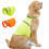 Gilet de sécurité avec bande-Orange fluorescent L 3