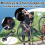 Motorcycle Chain Lube Applicator with Precise Lubricant Application, No Chain Removal, Durable Maintenance Tool 4