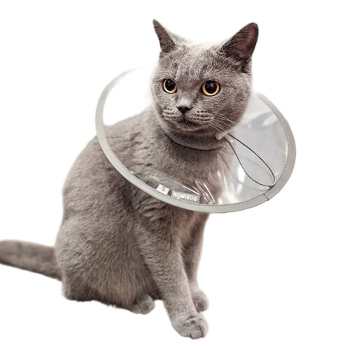Pet Recovery Cone Collar Multiple Size Adjustable Recovery-L