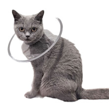 Cats Recovery Collar Clear Cone for Cats Dog Neck Protective-S