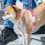 Practical Dog Slings All Breeds Dog Leg Support Lifting Aid-S 2 6