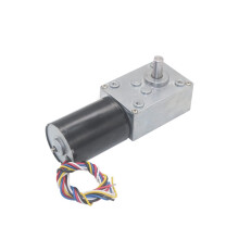 Worm Gear Motor 24V Torque Brushless DC Motor Low Noise for Curtain Machine 40RPM