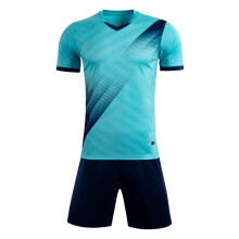 (8620-lake blue, L(165-170cm)) Adult Kid Soccer Jerseys Men Football Uniforms Shirts Women Futsal Sportswear Kit Training Tracksuit Child Sports Suit