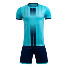 (M8607-lake blue, M(155-165cm)) Adult Kid Soccer Jerseys Men Football Uniforms Shirts Women Futsal Sportswear Kit Training Tracksuit Child Sports Suit