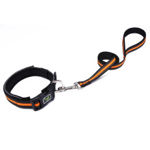 Strapazierfähiges Hundehalsband,-M Orangefarbene 20-mm-Leine
