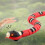 Serpent télécommandé de 39 cm, batterie au lithium de 150mAh, avoidance intelligente d'obstacles 1