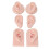 Professional Teaching Tool, Artificial Ear Display For Convenient Usage And Reusable Design, Silicone Ear Model With Realistic Practice Experience Id 2