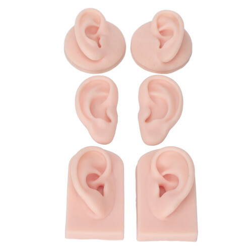 Professional Teaching Tool, Artificial Ear Display For Convenient Usage And Reusable Design, Silicone Ear Model With Realistic Practice Experience Id 1