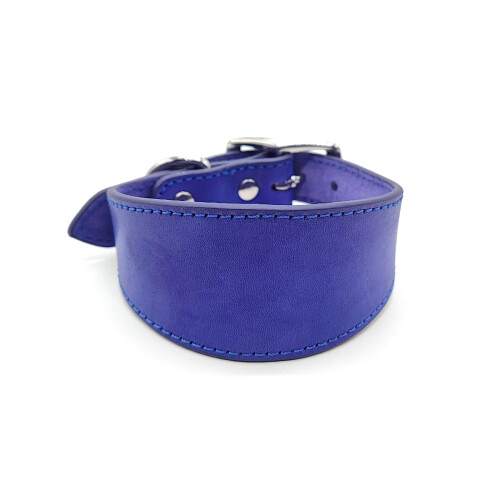Durable Puppy Collar for Salukis Medium Large Breeds-M Violet
