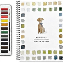 Livre de peinture aquarelle avec 12 couleurs, thème oiseaux pour débutants