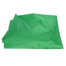 Copertura per Sabbiera da Giardino Impermeabile a Esagono con Corda di Chiusura - Verde