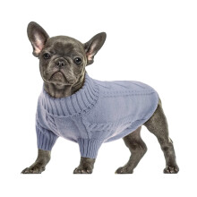 Hunde-Rollkragenpullover für den Winter, warm-Marineblau