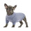 Hunde-Rollkragenpullover für den Winter, warm-Marineblau 1