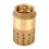 Brass Female Thread Foot Valve with Mesh Check Filter DN25 One Way Water Stop 6