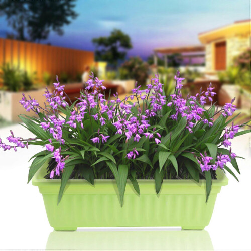 Lote de 4 jardineiras de 43 cm (17 polegadas) em plástico para borda de janela, varanda, jardim, casa. 1