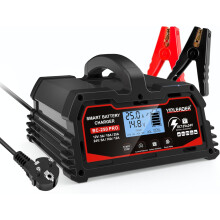 Chargeur de batterie intelligent 25 A 12 V/24 V 12 A/10 A/5 A, chargeur de voiture avec écran LCD, mainteneur de charge pour batteries AGM, moto