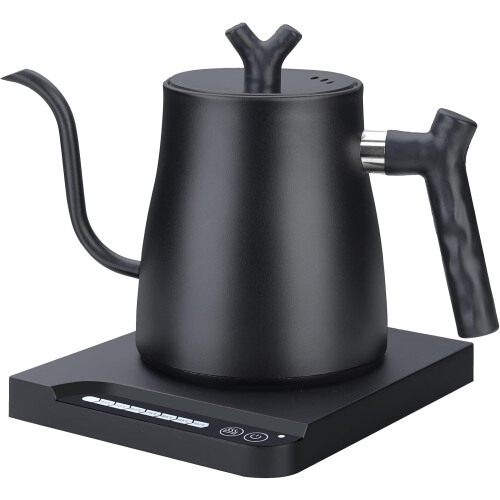 Electric gooseneck kettle with temperature control