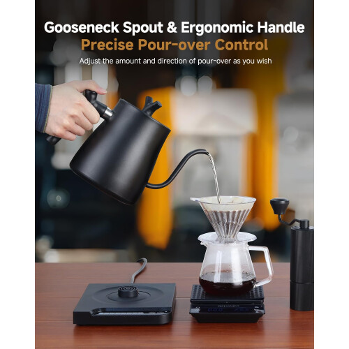 Electric gooseneck kettle with temperature control 2