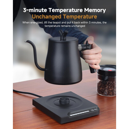 Electric gooseneck kettle with temperature control 1