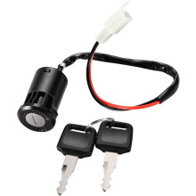 Vervangende 2-draads contactsleutel voor 50cc 70cc 90cc 110cc 125cc 150cc 200cc 250cc elektrische scooters, go-karts, ATV's en quads.