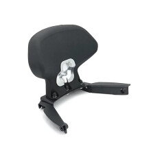 Motorcycle Passenger Backrest for Forzan350 NSS350 2023up, Detachable Sissy Bar for Comfort