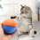Interactive Cat Ball Toy Cat Moving Toy Automatic Moving Ball 2