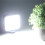 W36 Videokonferenz-Licht 36 LEDs 4W Einstellbare Helligkeit 10