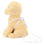 Adjustable Soft Mesh Pet Harness with Leash for Cats, Blue 1.5cm 5