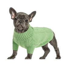 Hunde-Rollkragenpullover für den Winter, warm haltende-gelbgrün