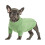 Hunde-Rollkragenpullover für den Winter, warm haltende-gelbgrün 1