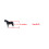 Adjustable 4pcs Horse Jumping Boots Shockproof Lining Black M 3