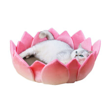 Planche à gratter en papier ondulé pour chaton, lit en forme de