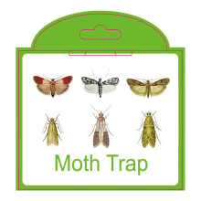 Set of 5 Pantry Moth Traps with Pheromones, NonToxic Instant Control for Kitchen and Wardrobe